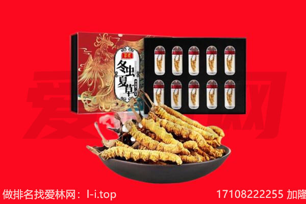 宜宾市兴文回收虫草.jpg